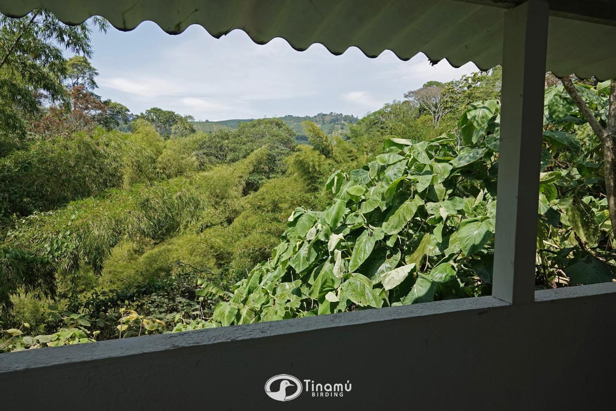 Hotel Tinamu Birding La Manuelita Esterno foto
