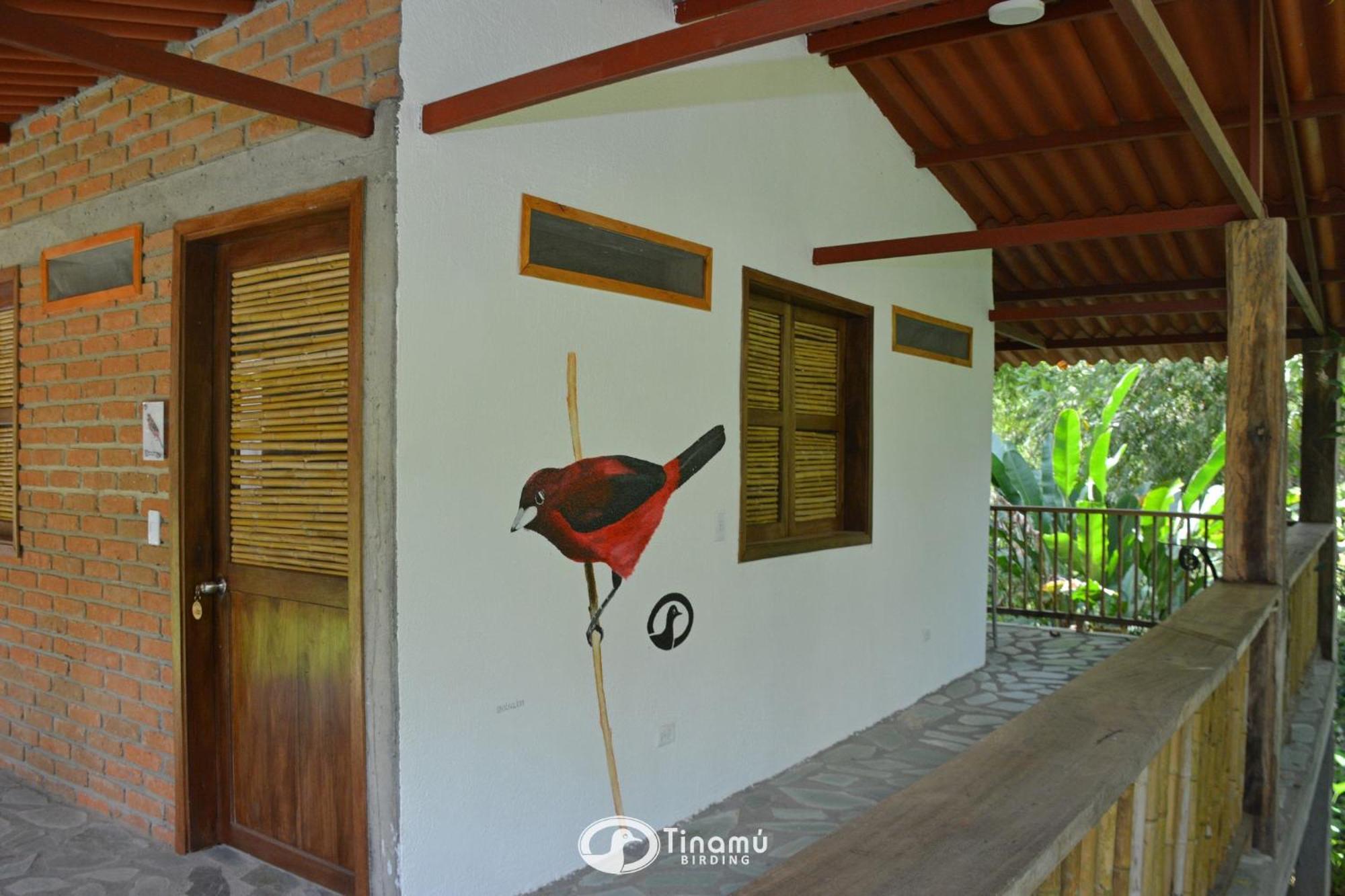 Hotel Tinamu Birding La Manuelita Esterno foto