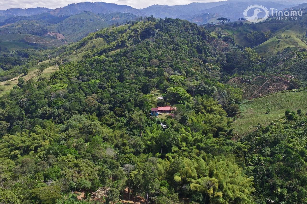 Hotel Tinamu Birding La Manuelita Esterno foto